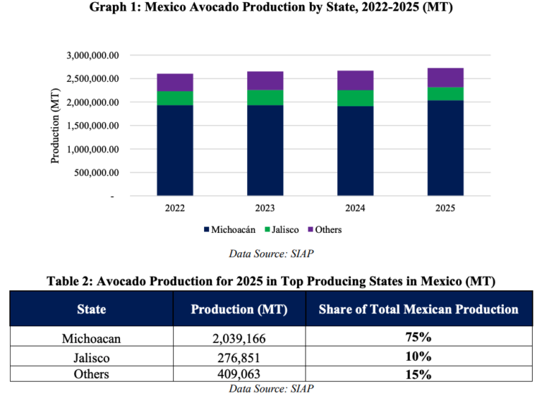 Mexican avocado volumes